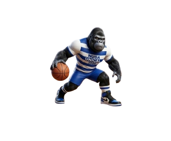 NUGA Basketball