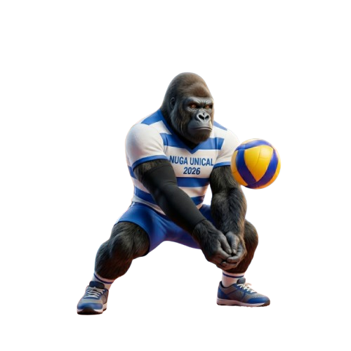 NUGA Volleyball